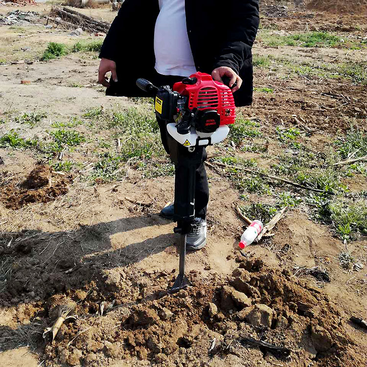 Summer beach concept