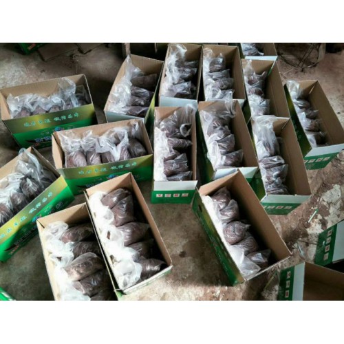 防火泥 国标防火泥厂家生产