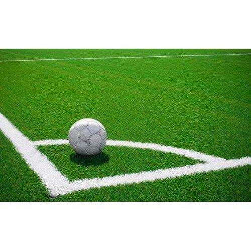 仙桃人工草坪定制