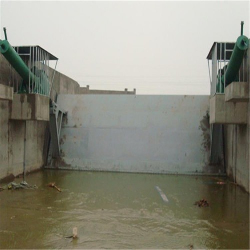 斜吊式钢闸门 动水钢制闸门 液压启闭机闸门