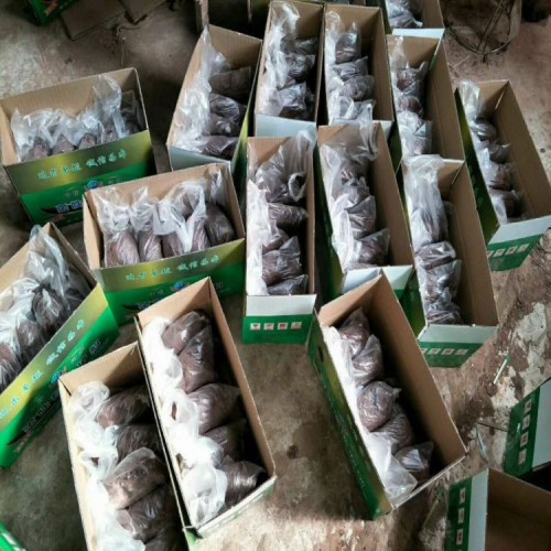 互利防火 防火泥空调孔密封封堵一公斤价格