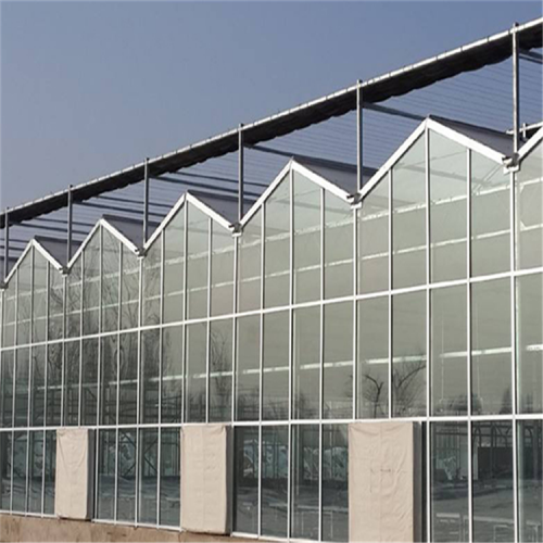 玻璃温室大棚供应商 新型玻璃温室设计 玻璃温室大棚优势