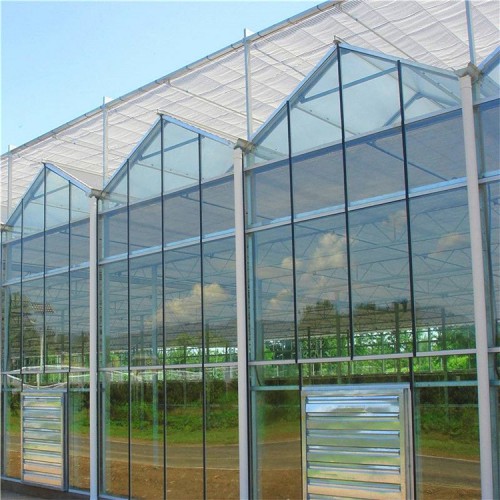厂家直销 玻璃连栋温室大棚 玻璃连栋温室构建原理