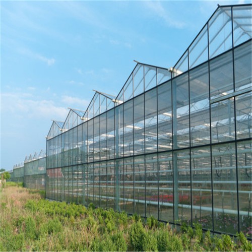 连栋玻璃智能温室建造商 智能玻璃温室价格 温室大棚工程