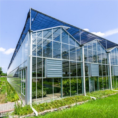 定制玻璃温室大棚工程 河北玻璃温室大棚造价费用
