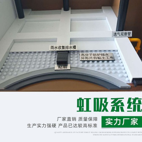 虹吸系统 顶板虹吸排水系统