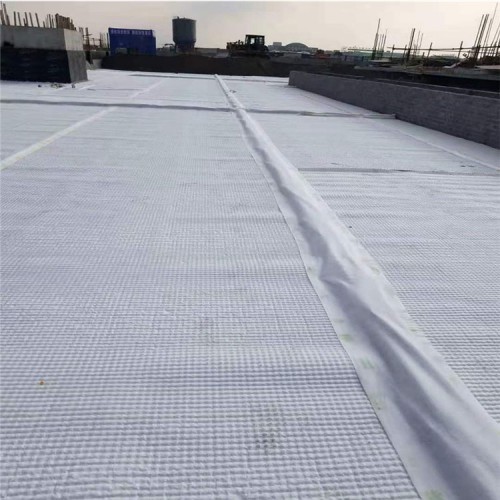 虹吸系统 车库顶板虹吸排水系统