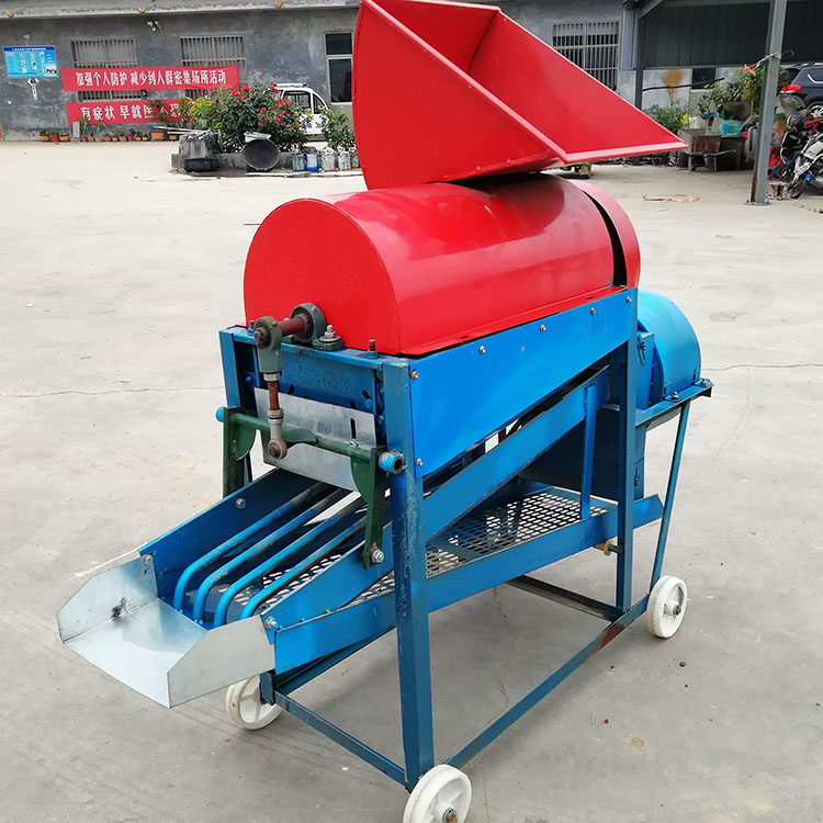 Summer beach concept