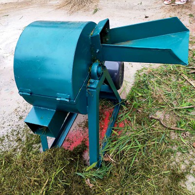 猪草打浆机 鲜玉米秸秆打浆机 600型蔬菜瓜果粉碎机