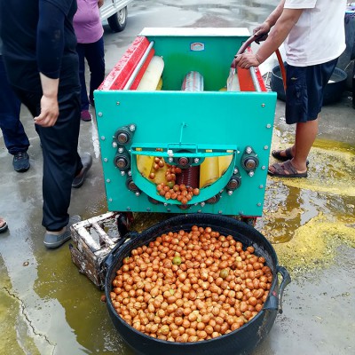 鲜青核桃扒皮机 大型绿皮核桃去皮机 济南核桃剥壳机