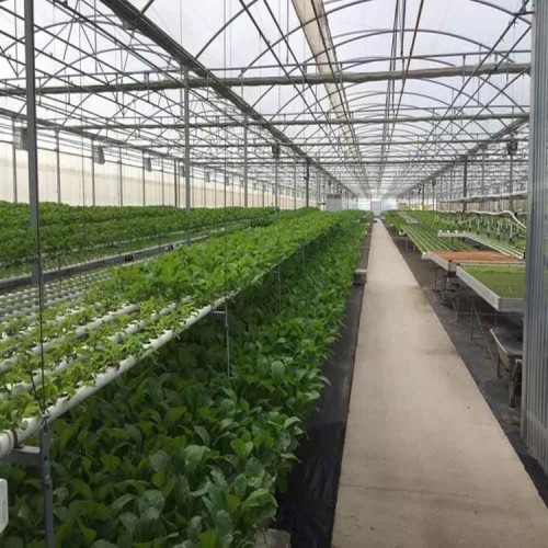 连栋薄膜温室大棚承建商 连栋温室大棚分类