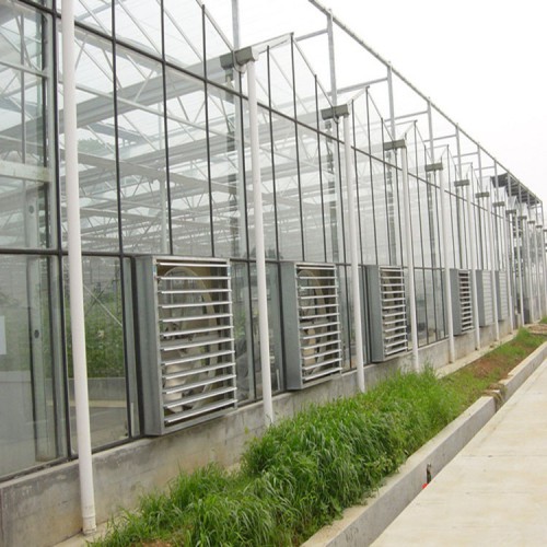 花卉温室大棚建设 玻璃温室大棚的优势及特点