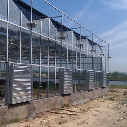 智能玻璃温室大棚工程 智能玻璃温室设计厂家 国聚温室