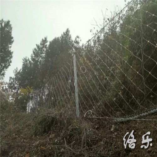 山体防护蜘蛛网 山体防坠蜘蛛网 成都山体防止蜘蛛网生产厂家