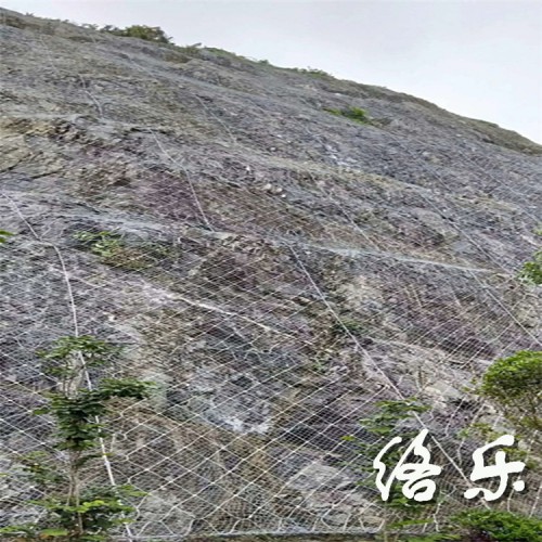 蜘蛛网 山体防护蜘蛛网 山体防护蜘蛛绞索网厂家