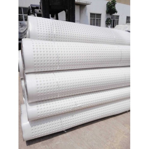 供应营口20高排水板 塑料排水导水板 嘉海新型排水材料