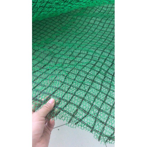三维植被网 复合土工格栅