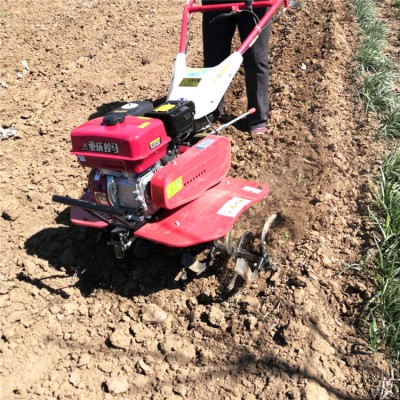 小型微耕机 山区小型耕地机 果园松土除草机