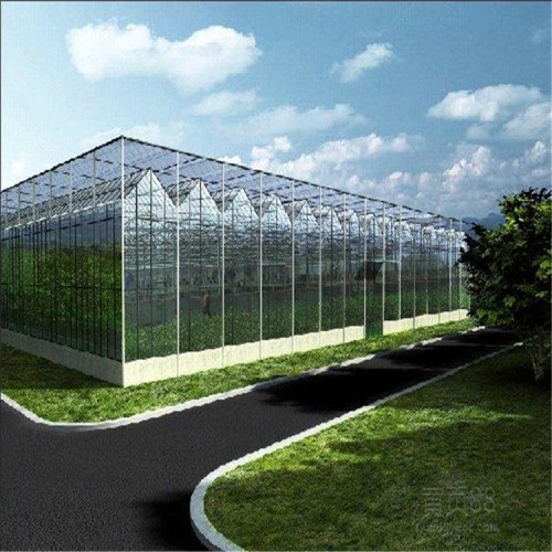 新颖的智能温室大棚设计厂家 国聚温室 智能温室优质选择