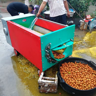 鲜核桃去皮机 小型青皮核桃剥壳机 薄皮鲜核桃脱皮机
