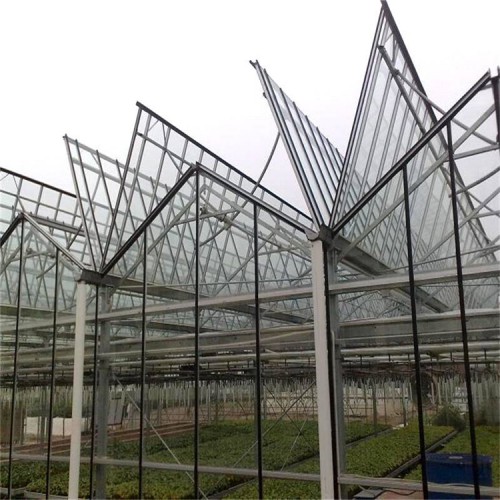 花卉大棚种植 连栋智能玻璃温室大棚建设 智能温室厂家