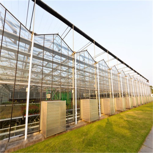 蔬菜、花卉大棚建设厂家 新型智能玻璃温室大棚工程