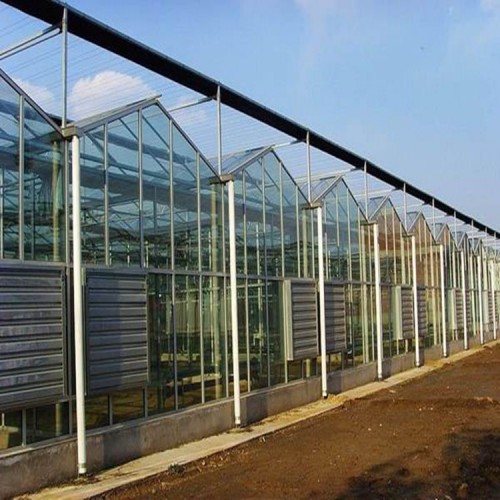 内蒙古阳光板温室设计哪家好 阳光板温室的优点 阳光板温室大棚