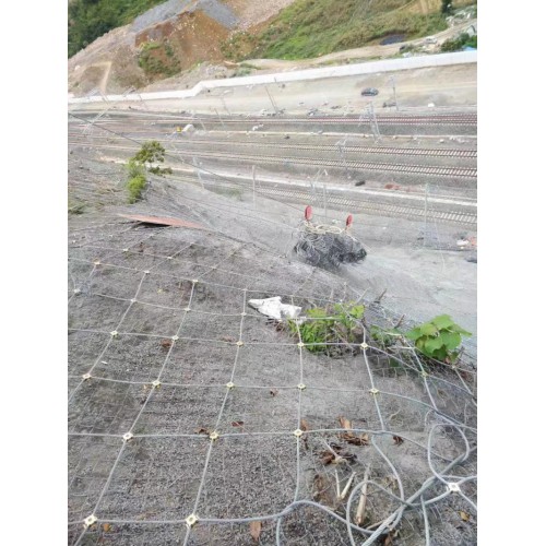 山西裹塑边坡防护网    福建sns柔性防护网