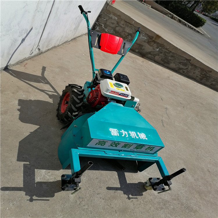 自走式割草机 (9)