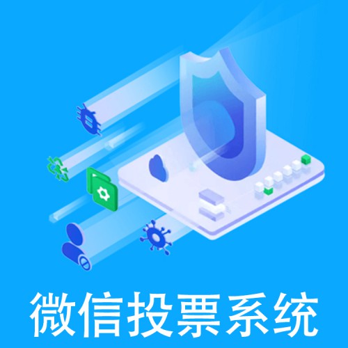 网络投票系统 在线投票系统