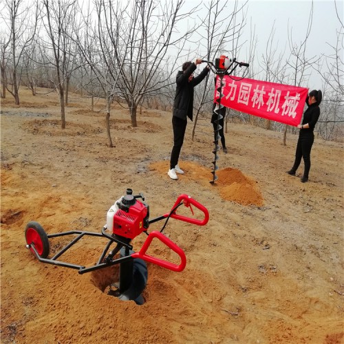 手持式地钻 螺旋地钻挖坑机械
