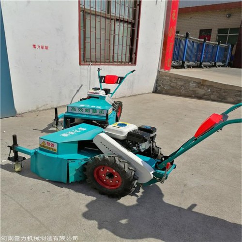 自走式草坪机 绿色环保草坪割草机