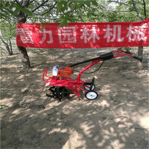 大型草坪机 割草机多少钱一台