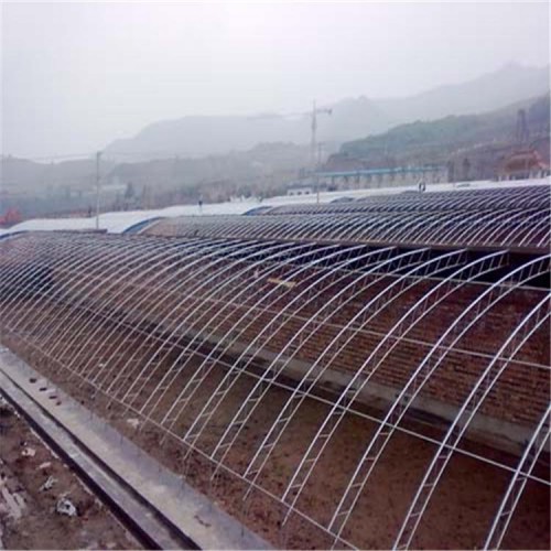 日光温室大棚设计 日光温室大棚建造商推荐 国聚温室