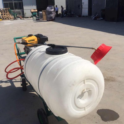 200L打药机 果树杀虫喷雾器 手推式汽油打药机