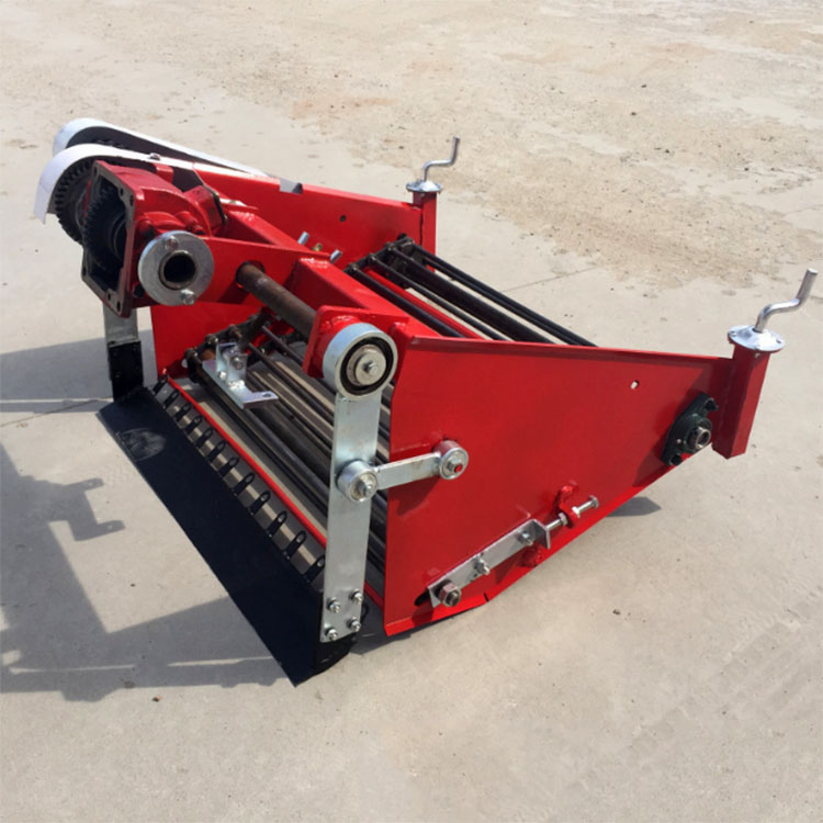 Summer beach concept