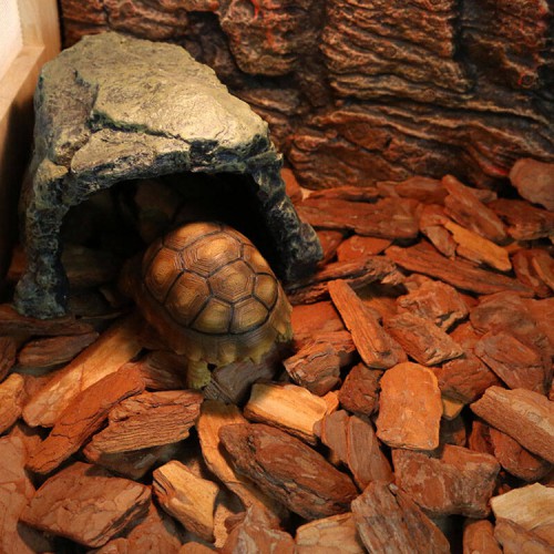 市政污水除臭专用松树皮