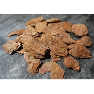 园林绿化松树皮