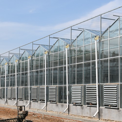 温室大棚 玻璃温室大棚 温室大棚厂家