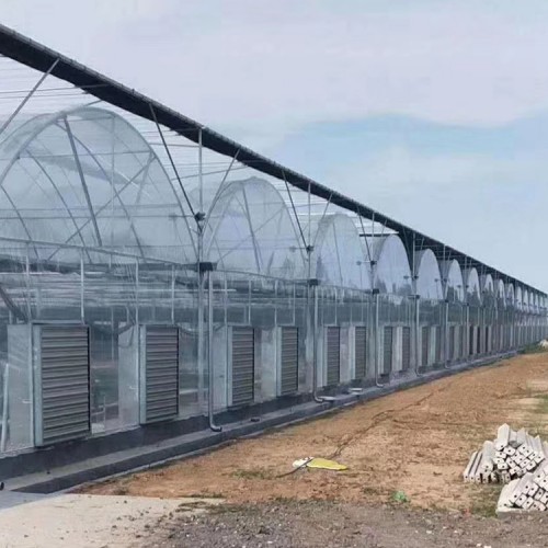 连栋玻璃温室 薄膜温室供应商