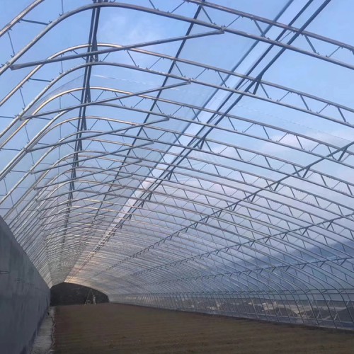 日光温室大棚 日光温室大棚厂家