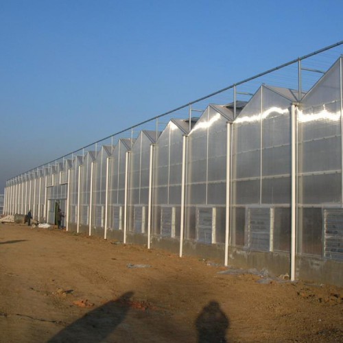 智能阳光板温室 PC阳光板温室大棚