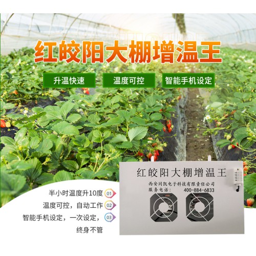 增温王 红皎阳大棚增温王