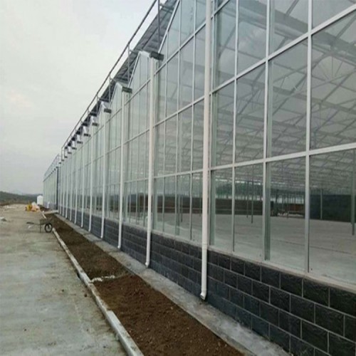 现代温室大棚骨架设计厂家 温室大棚建设流程 温室大棚