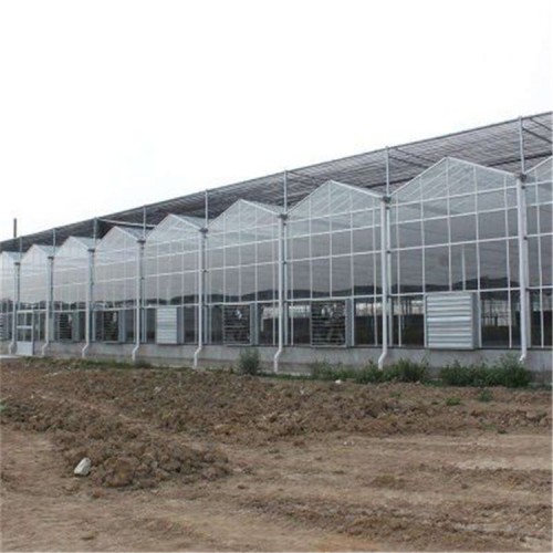 安装连栋温室大棚 连栋温室大棚建造商 国聚温室