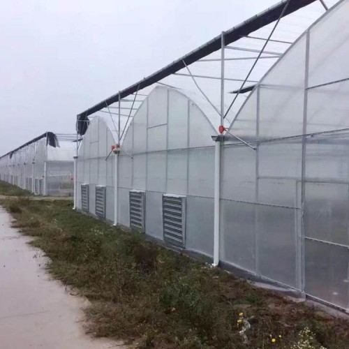 江西薄膜温室大棚设计厂家 连栋薄膜温室大棚的特点