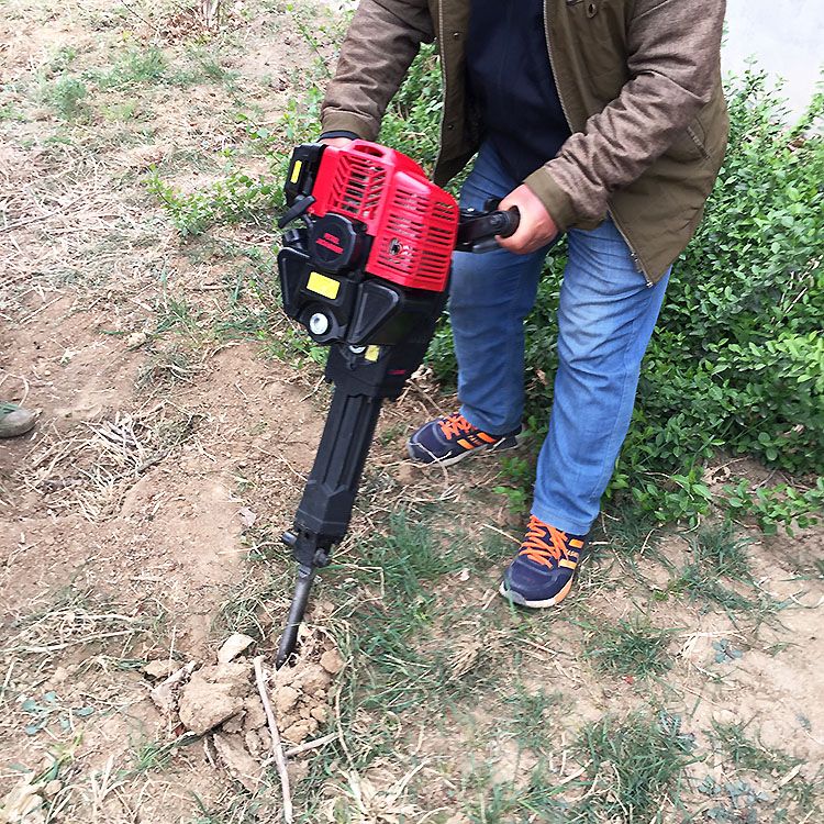 Summer beach concept