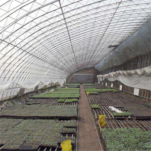 薄膜连栋温室大棚工程 山东薄膜温室造价成本 薄膜温室大棚
