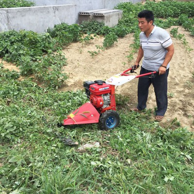 自走式修剪机 杂草剪草机 草坪灌木杂草修剪机
