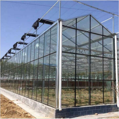 建设玻璃温室大棚工程 玻璃温室大棚骨架设计 玻璃温室大棚